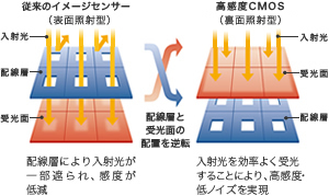 図:裏面照射型CMOSセンサーイメージ