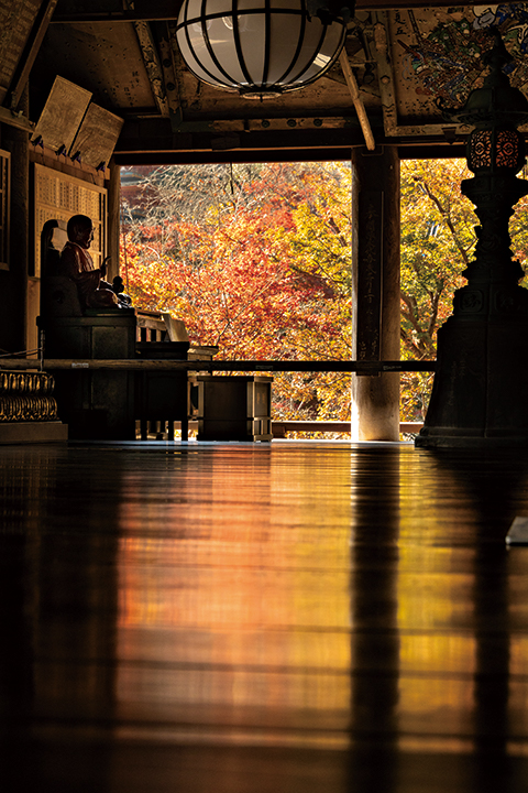 写真：お寺の御堂から紅葉を撮影したもの