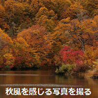 秋風を感じる写真を撮る