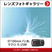 レンズフォトギャラリー EF100mm F2.8L マクロ IS USM CANON IMAGE GATEWAY
