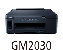 GM2030
