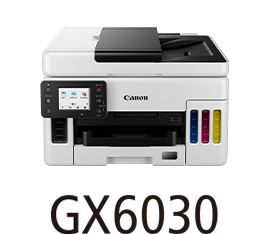GX6030