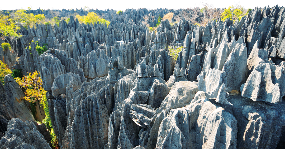 C Magazine 世界遺産を旅する Vol 9 林立する巨大な岩に圧倒される ツィンギ デ ベマラの絶景 Vol 96 キヤノンマーケティングジャパン