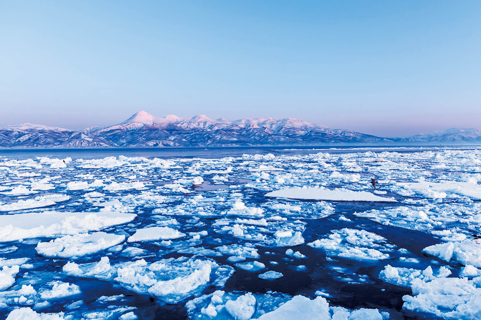 画像: 知床半島周辺の流氷