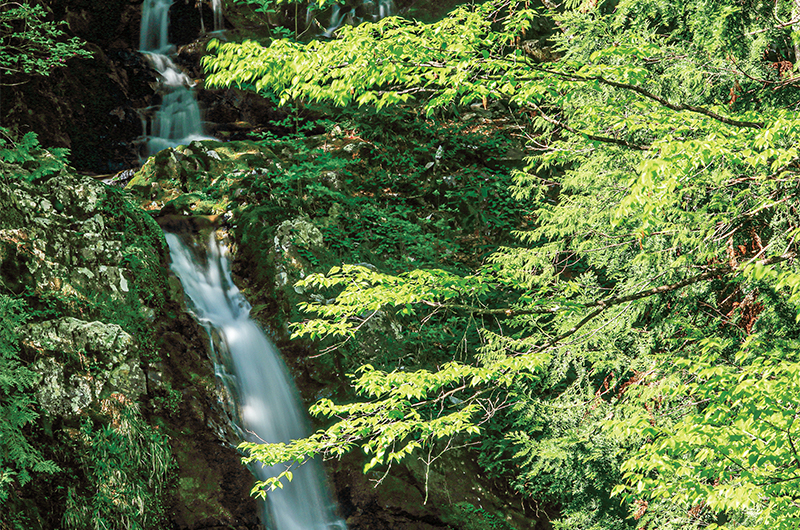 写真：長野県・阿寺（あてら）渓谷で撮影した滝