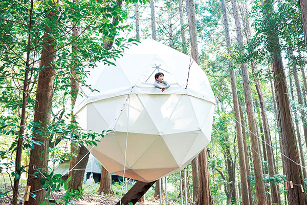 写真：森の中に浮遊するテント