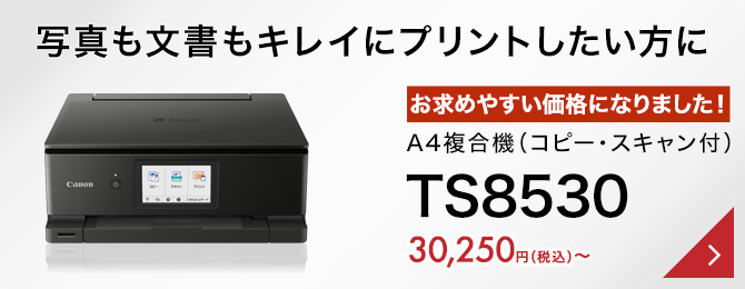TS8530