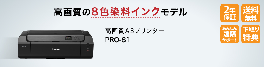 PRO-S1