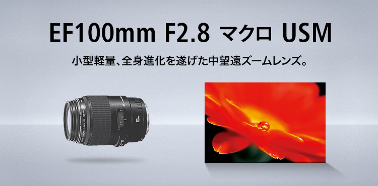 Canon EF100F2.8マクロCanon