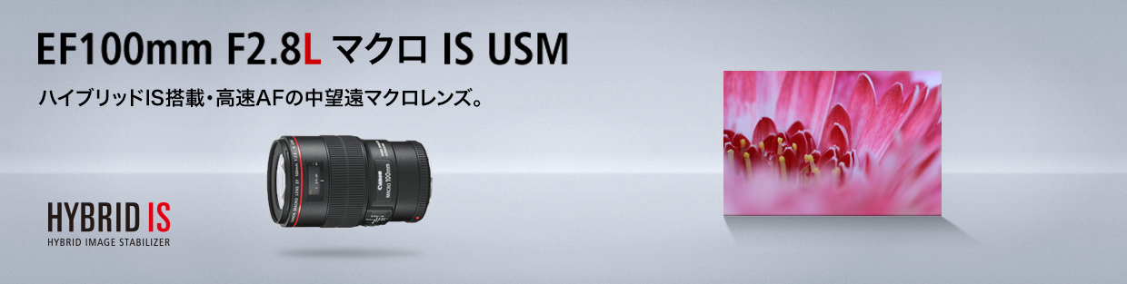 CANON EF100 2.8L マクロ IS USM - レンズ(単焦点)