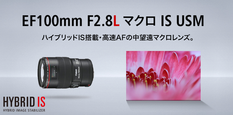 Canon EF 100mm F2.8Lマクロ IS USM キャノン | labiela.com