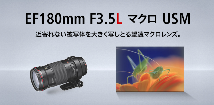 EF180mm F3.5L マクロ USM 近寄れない被写体を大きく写しとる望遠マクロレンズ。