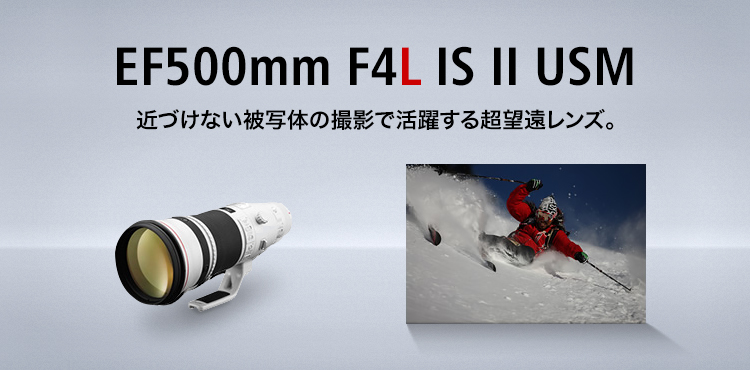 EF500mm F4L IS II USM 近づけない被写体の撮影で活躍する超望遠レンズ。