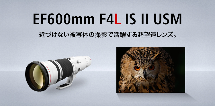 EF600mm F4L IS II USM 近づけない被写体の撮影で活躍する超望遠レンズ。