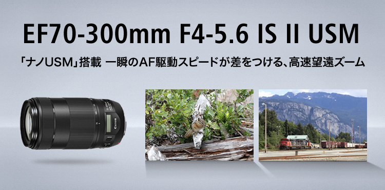キヤノン EFレンズ EF70-300mm F4-5.6 IS II USM