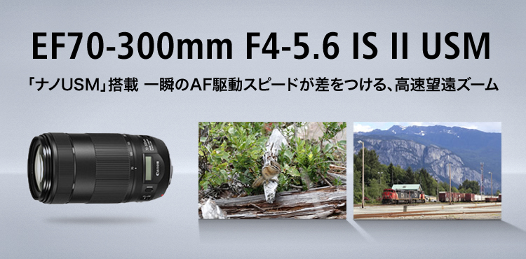 全サイト最安価 Canon 望遠ズームレンズ EFレンズ EF70-300mm F4-5.6 IS II USMフルサイズ対応 EF70-300 交換 レンズ