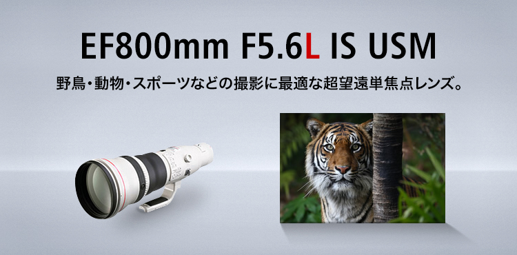 EF800mm F5.6L IS USM 野鳥・動物・スポーツなどの撮影に最適な超望遠単焦点レンズ。