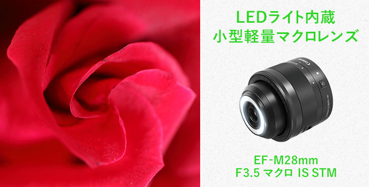 Canon マクロレンズ EF-M28mm F3.5 IS STM