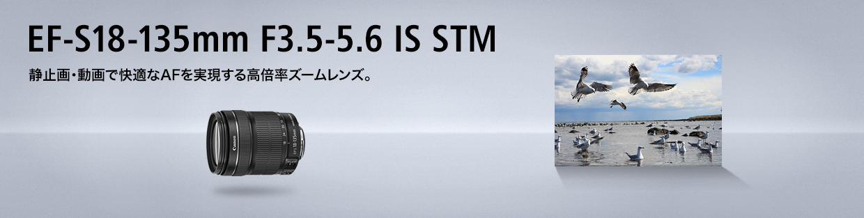 キヤノン Ef S18 135mm F3 5 5 6 Is Stm 概要