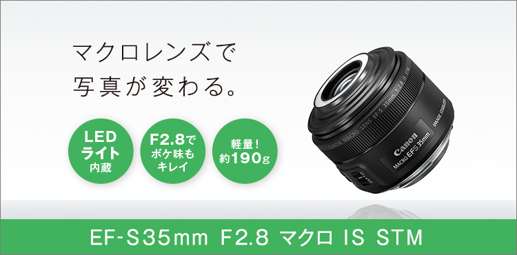 マクロレンズで写真が変わる。 LEDライト内蔵 F2.8でボケ味もキレイ 軽量!約190g EF-S35mm F2.8 マクロ IS STM