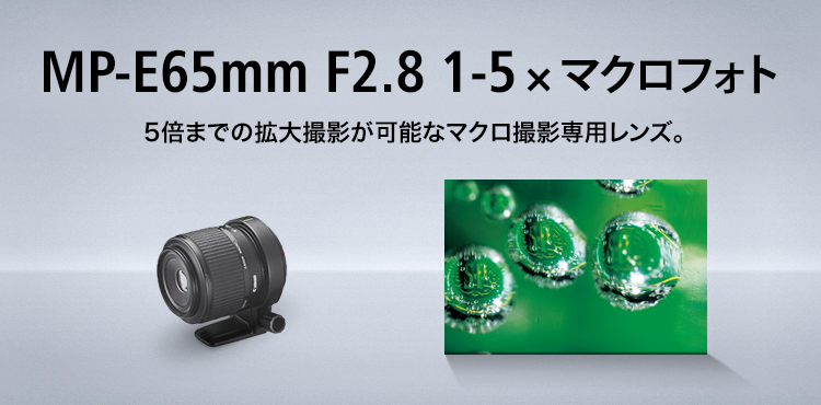 MP-E65mm F2.8 1-5×マクロフォト 5倍までの拡大撮影が可能なマクロ撮影専用レンズ。