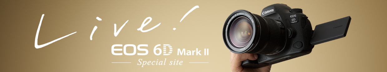 キヤノン：EOS 6D Mark II｜概要