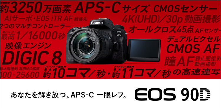 Canon EOS 90D実写レビュー。久々のキヤノン最新一眼レフを使って感じ 