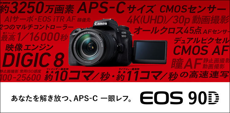 canon 90d