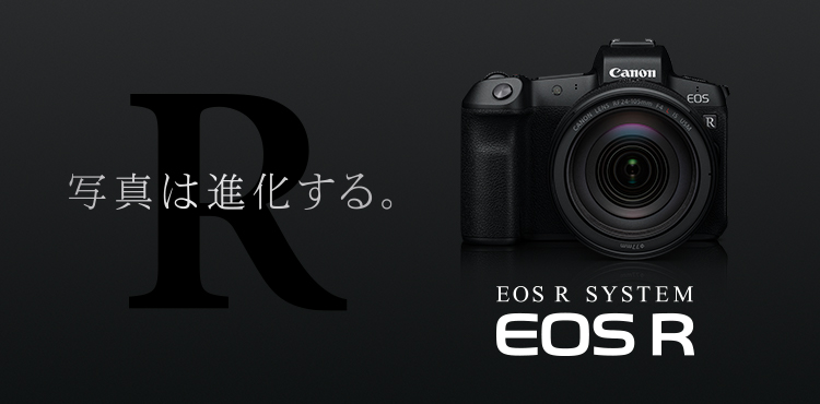 【サト様専用】Canon EOS R ボディ