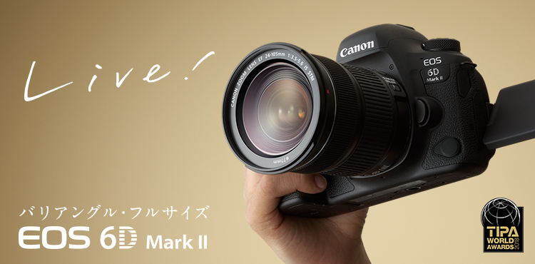 キヤノン EOS 6D MarkII ボディ約380枚 - デジタル一眼