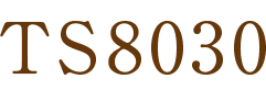 TS8030